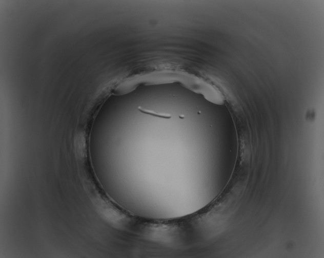 X0000096650453200802121136