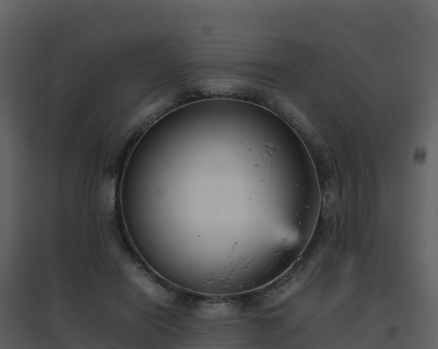 X0000096650454200802121136