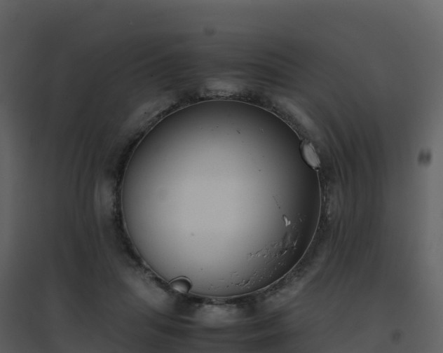 X0000096650455200802121136