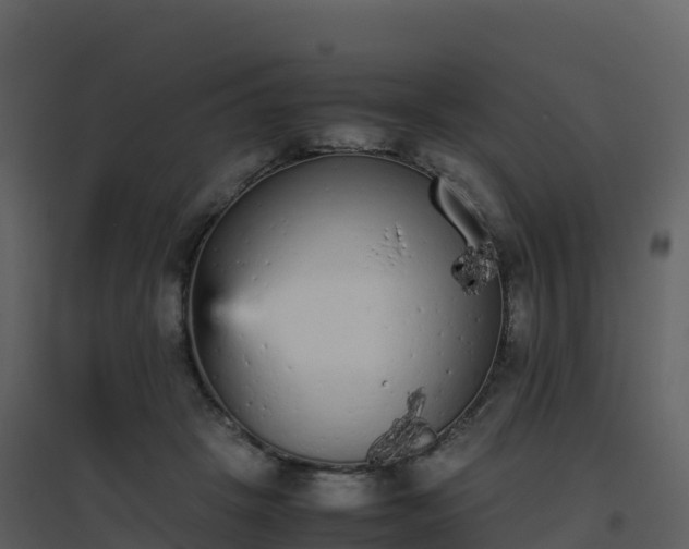 X0000096650457200802121136