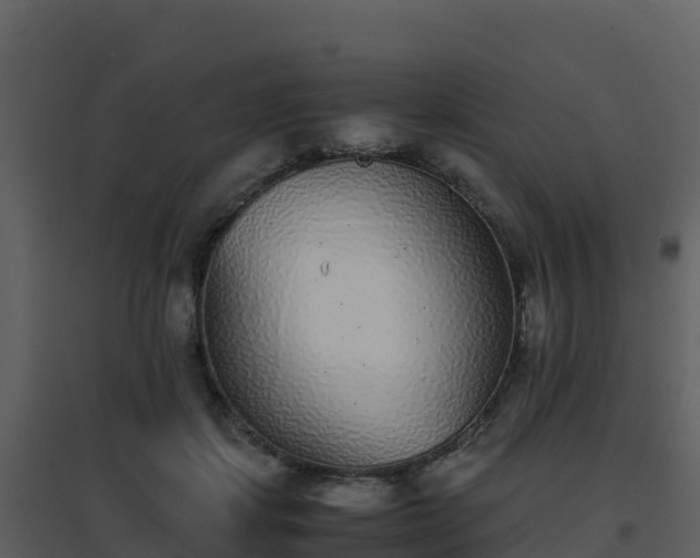 X0000096650459200802121136