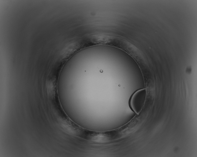 X0000096650460200802121136