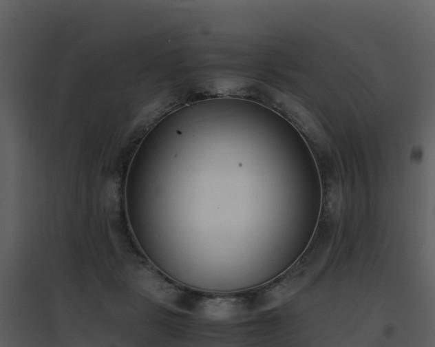 X0000096650461200802121136