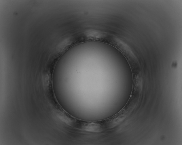 X0000096650463200802121136