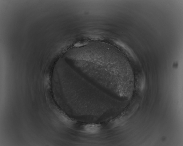 X0000096650465200802121136