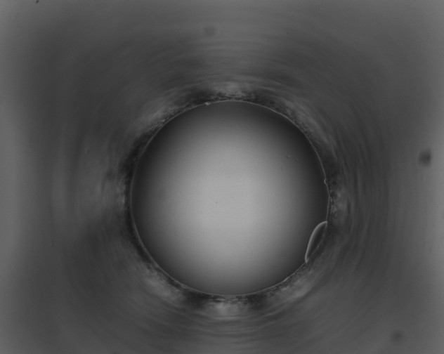 X0000096650466200802121136