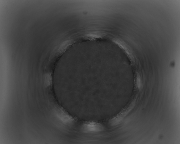 X0000096650467200802121136