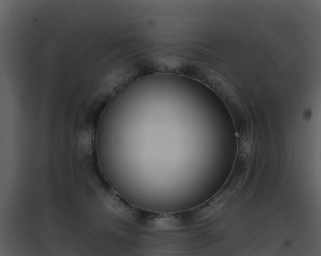 X0000096650468200802121136
