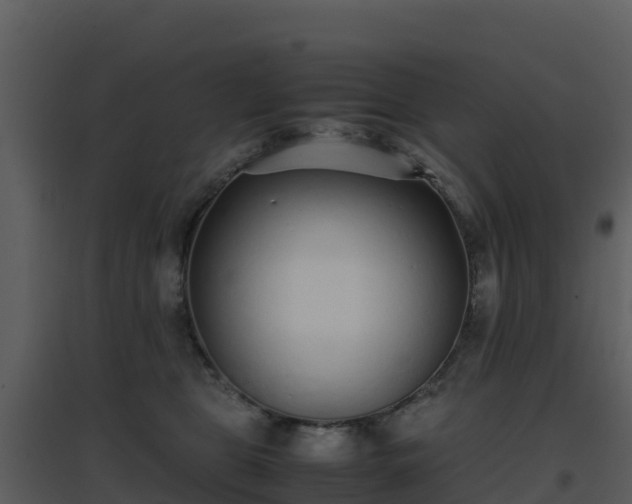 X0000096650469200802121136