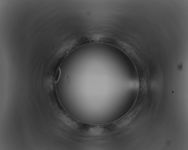 X0000096650470200802121136