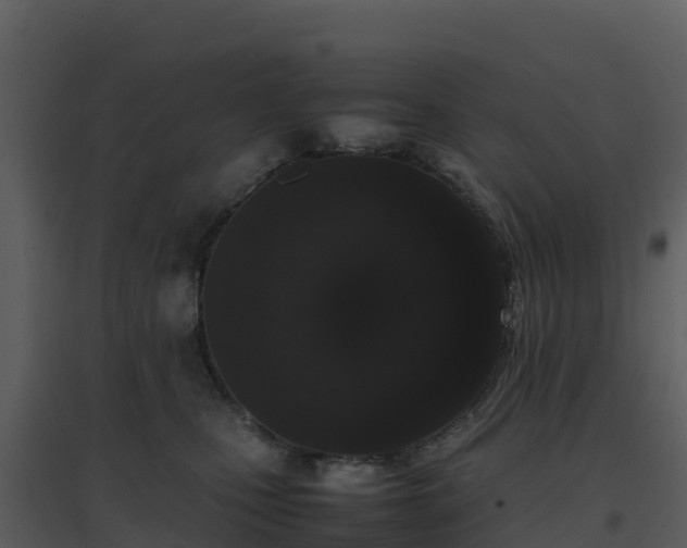 X0000096650471200802121136