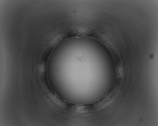 X0000096650472200802121136