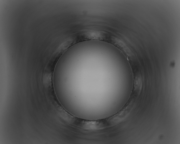X0000096650473200802121136