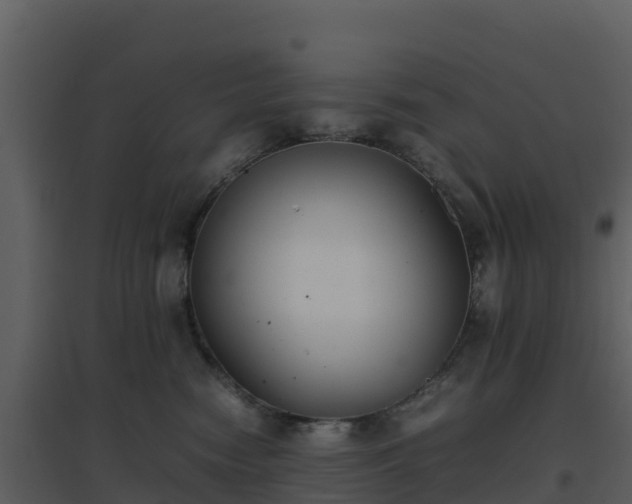 X0000096650474200802121136