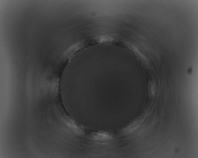 X0000096650475200802121136