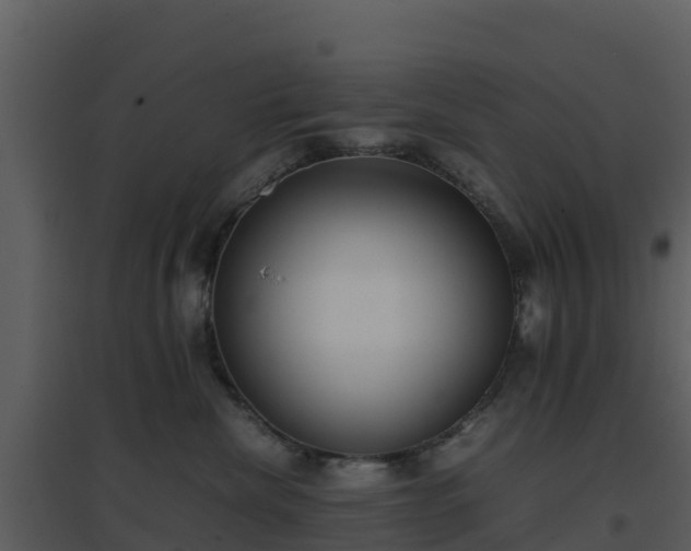 X0000096650476200802121136