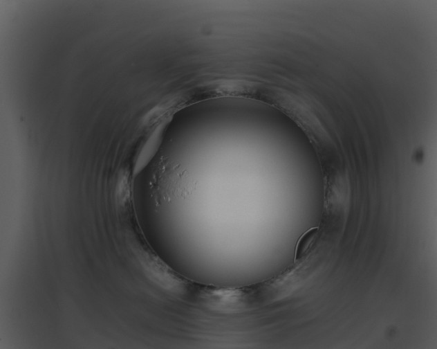 X0000096650478200802121136
