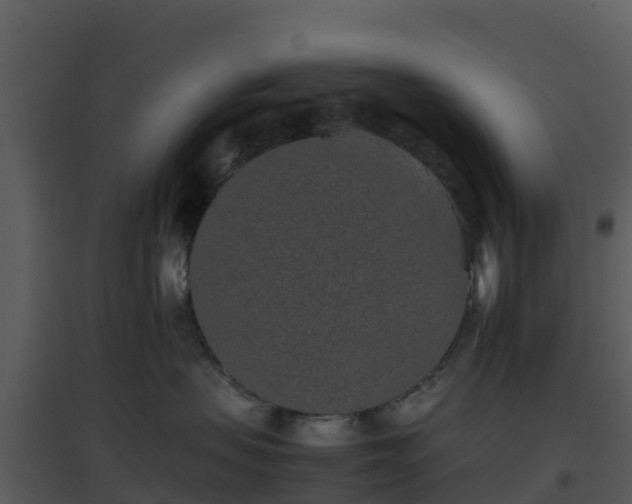 X0000096650479200802121136