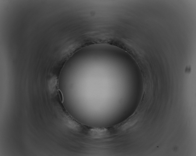 X0000096650480200802121136