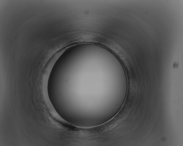X0000096650481200802121136