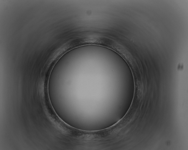 X0000096650482200802121136