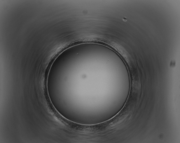 X0000096650485200802121136