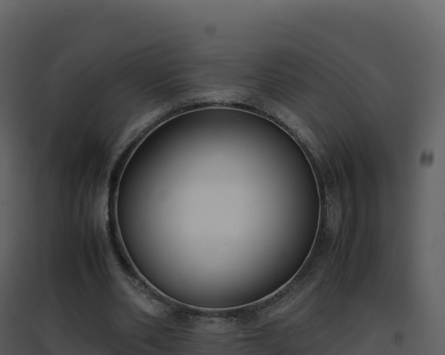X0000096650486200802121136