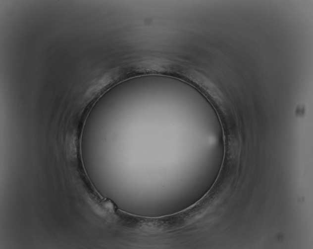 X0000096650489200802121136
