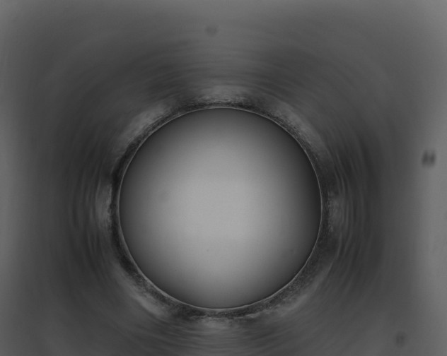 X0000096650490200802121136