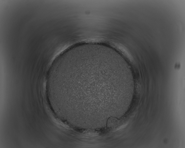 X0000096650491200802121135