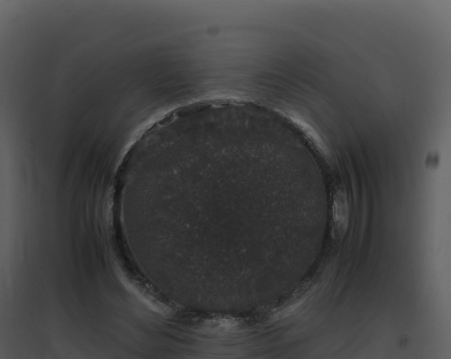 X0000096650492200802121135