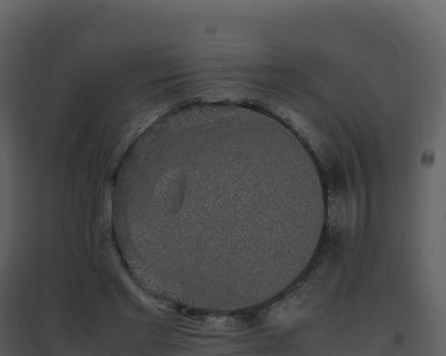 X0000096650493200802121135