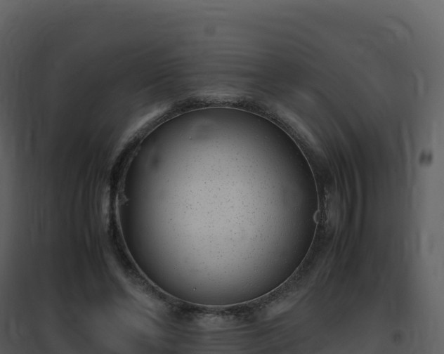 X0000096650494200802121135