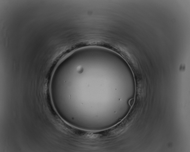 X0000096650495200802121135