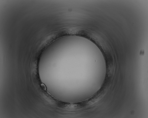 X0000096650497200802121135