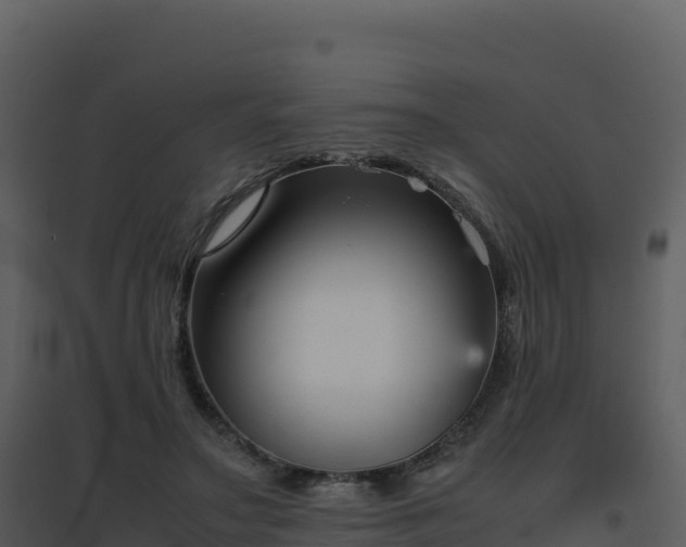 X0000096650499200802121135