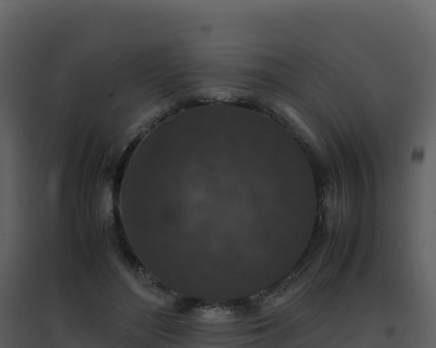 X0000096650500200802121135
