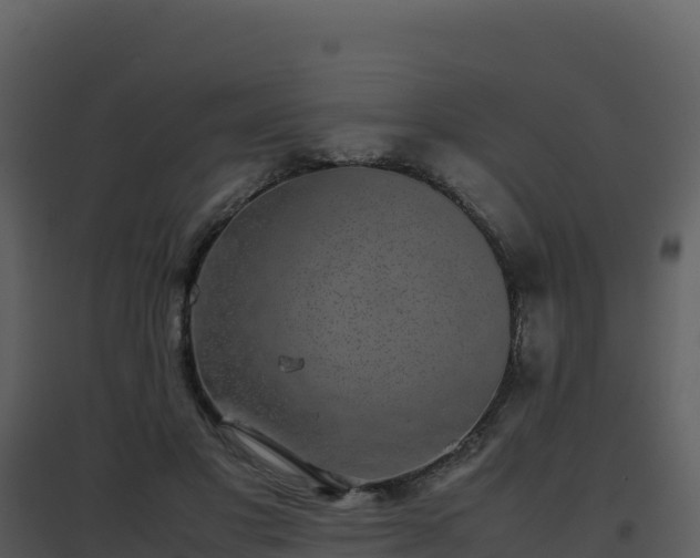 X0000096650501200802121135