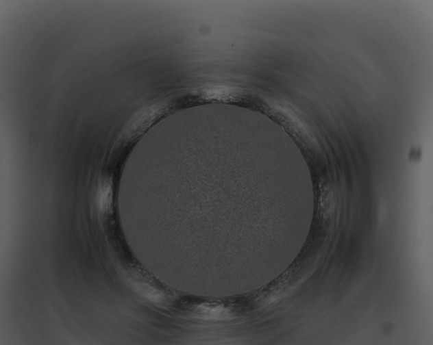 X0000096650502200802121135