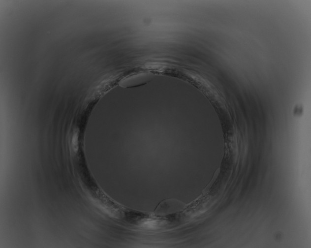 X0000096650504200802121135
