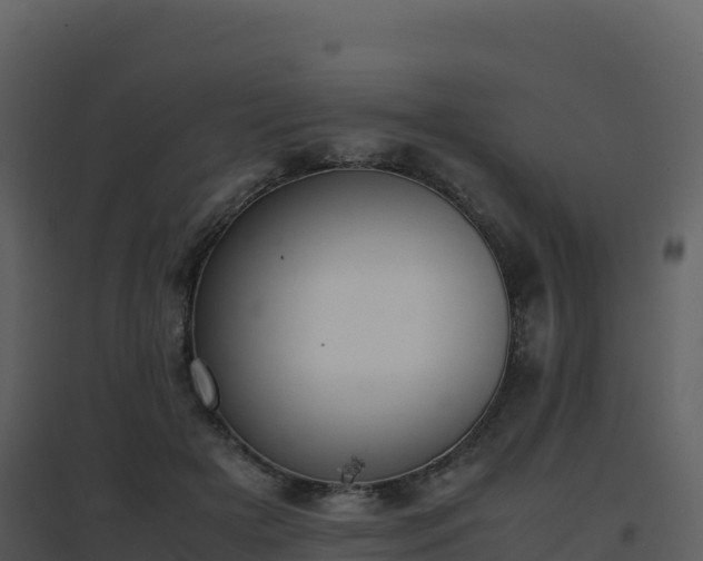 X0000096650505200802121135