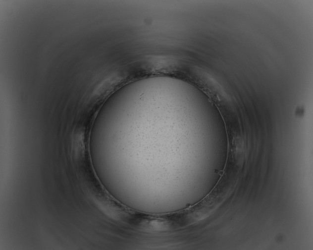 X0000096650506200802121135