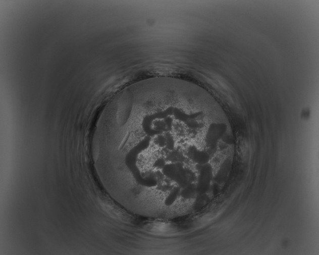 X0000096650507200802121135