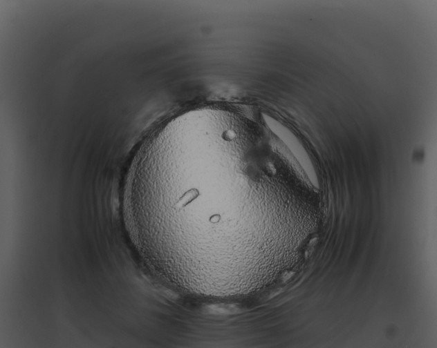 X0000096650508200802121135