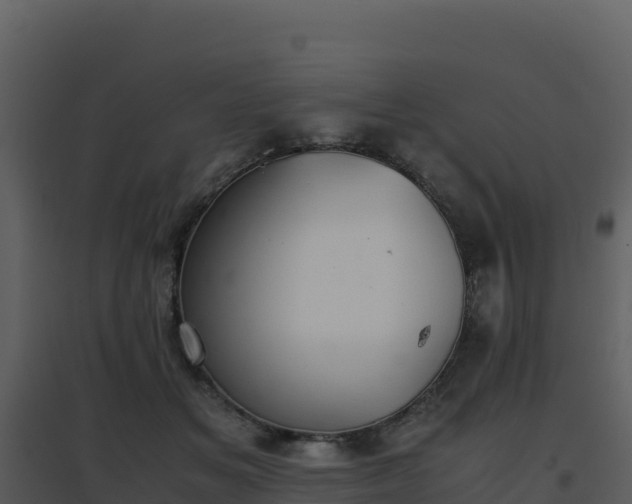 X0000096650509200802121135