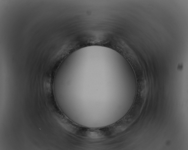 X0000096650510200802121135