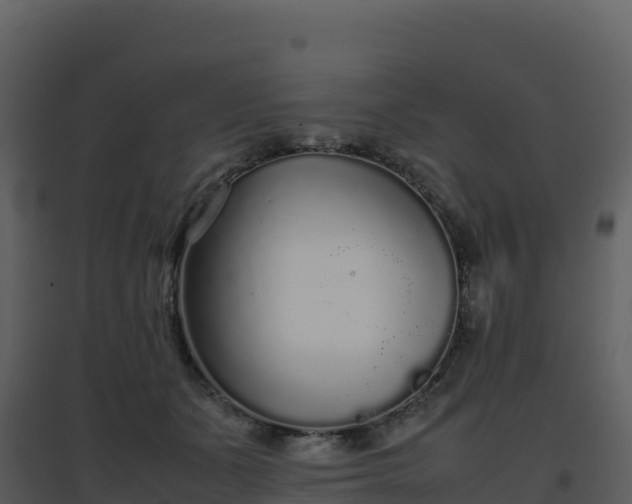 X0000096650511200802121135
