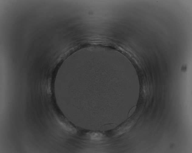 X0000096650512200802121135