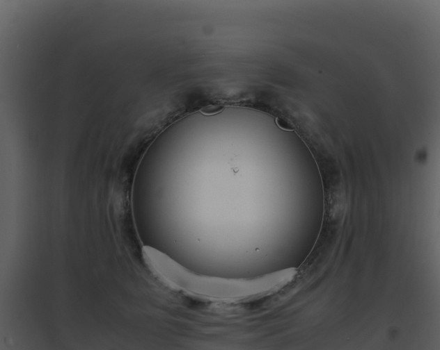 X0000096650515200802121135