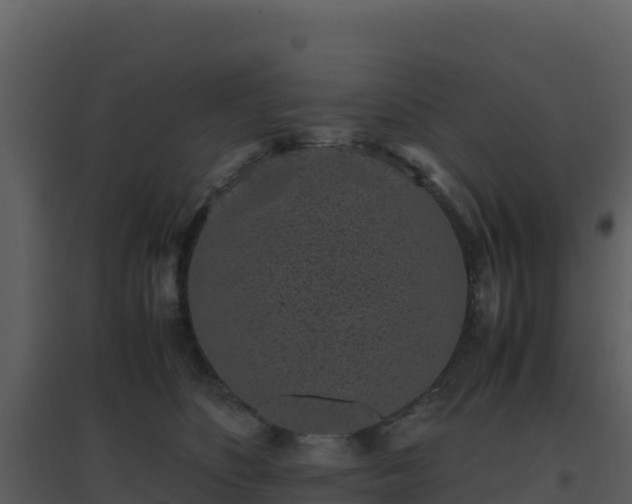 X0000096650516200802121135